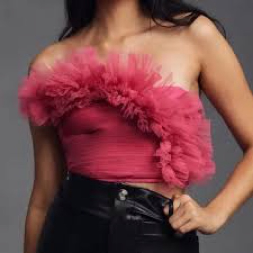 NWT Anthropologie Ranna Gill tulle crop top large